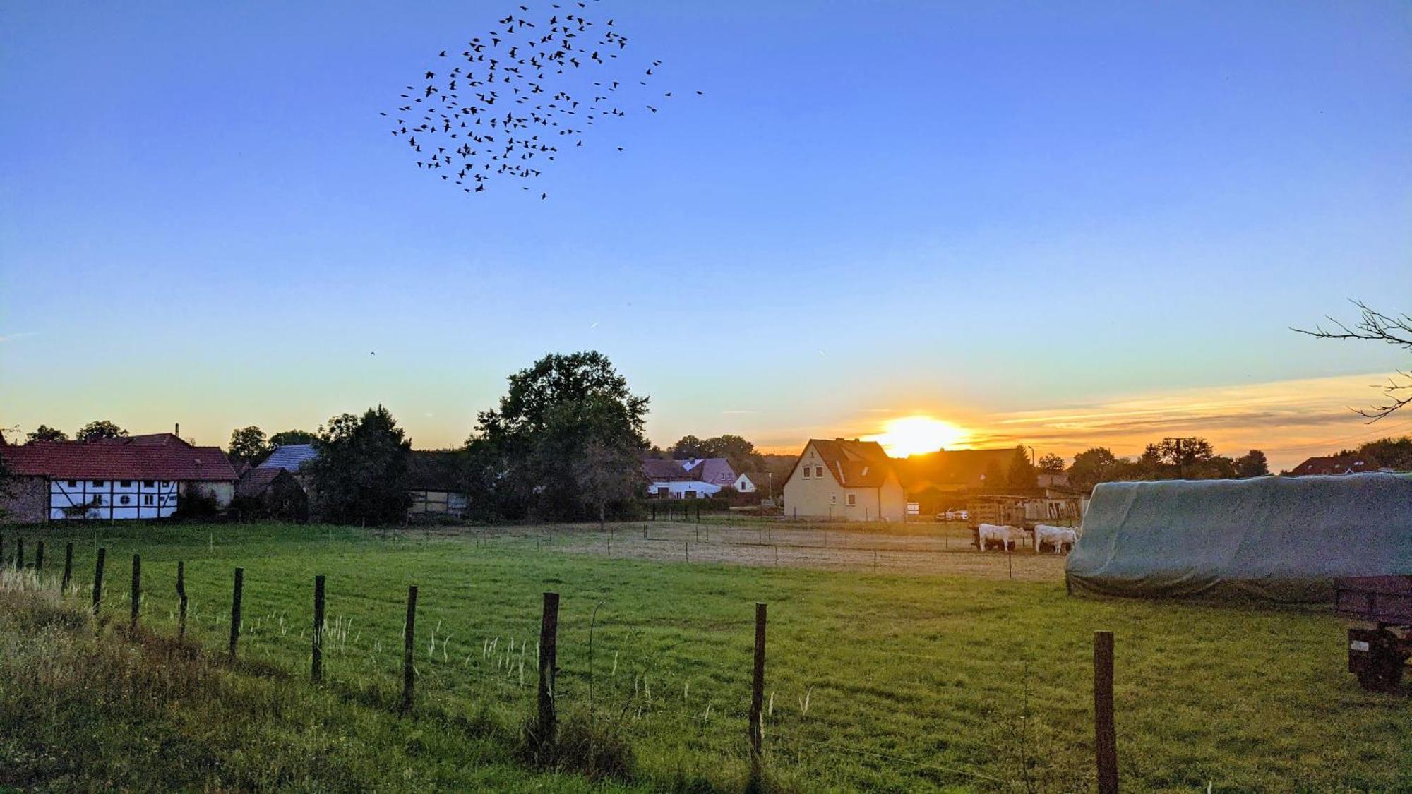 Gelbes Haus Seenland Xl Elsterheide